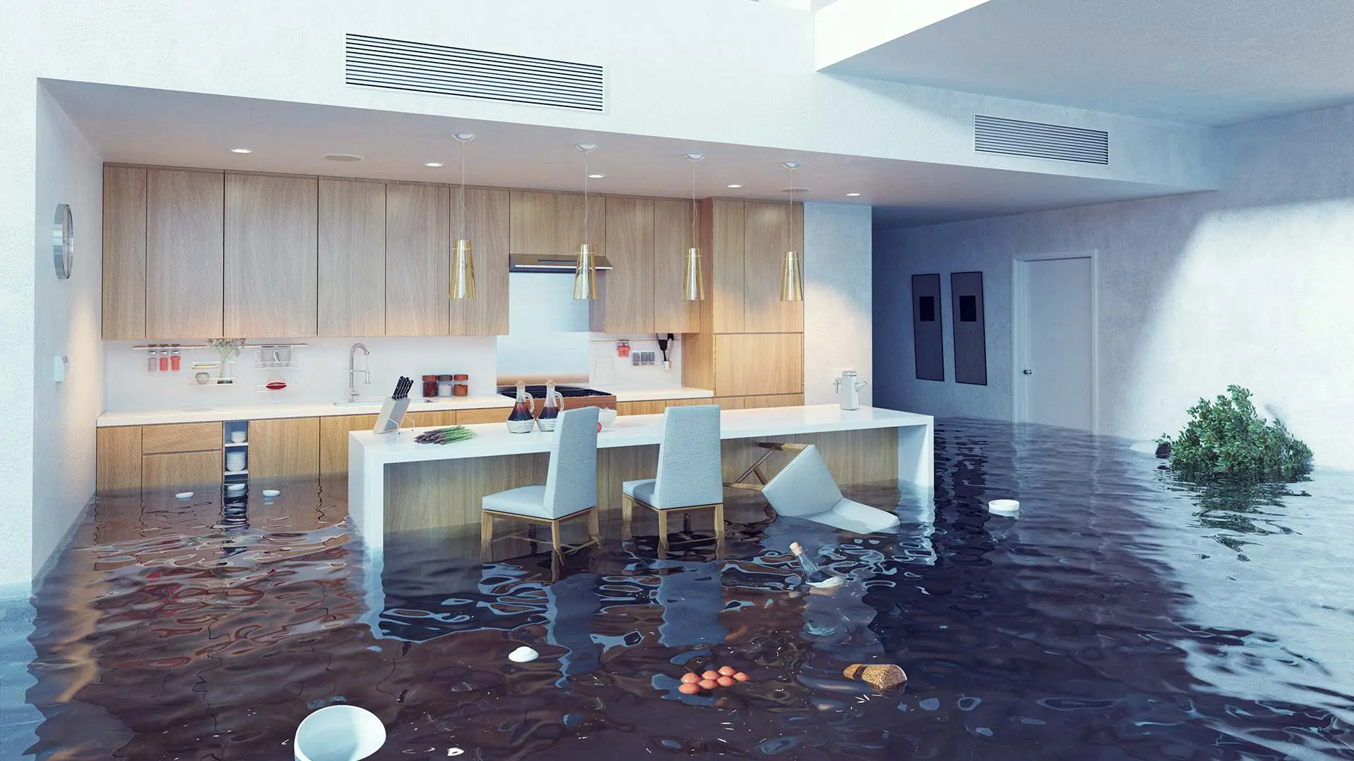Flooded home in Plant City, FL.