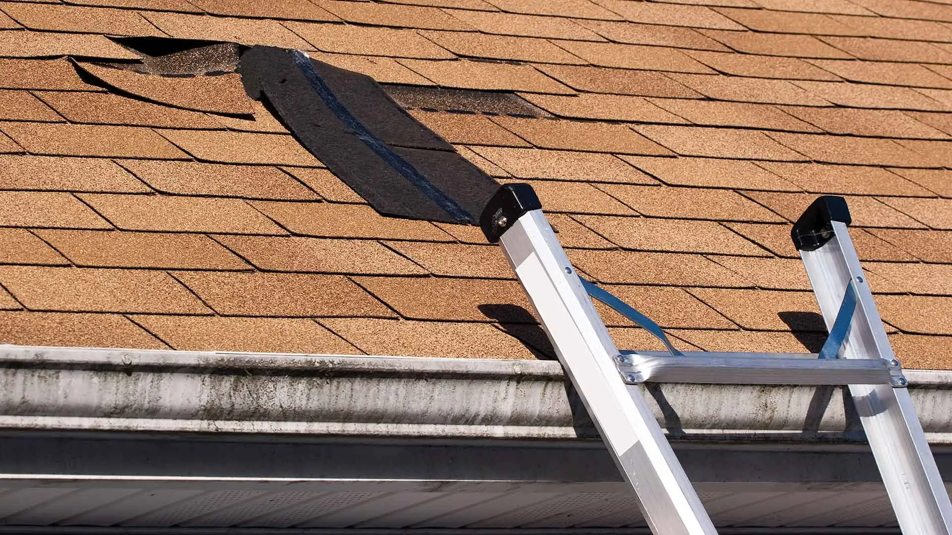 Why You Need to Fix Your Leaky Roof Now