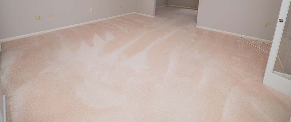 Carpet is a good choice for this bedroom in Winter Haven, FL.