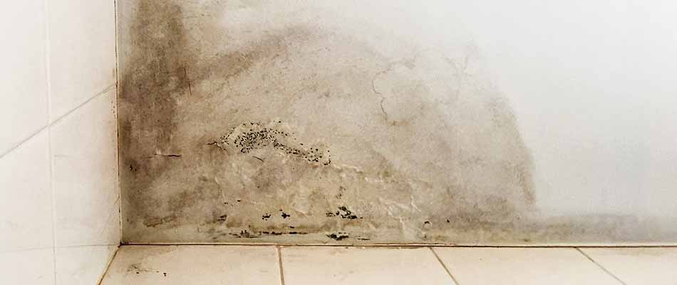 Mold in an older, outdated bathroom in Lakeland, FL.