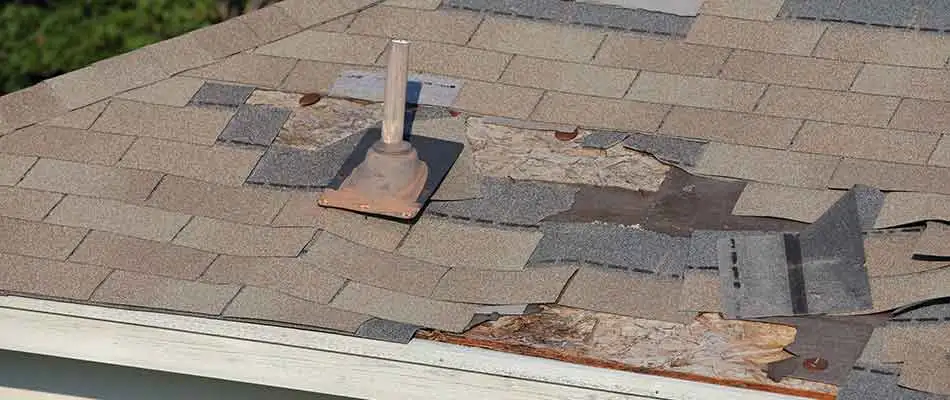 Damaged roof shingles at a Plant City, FL property.