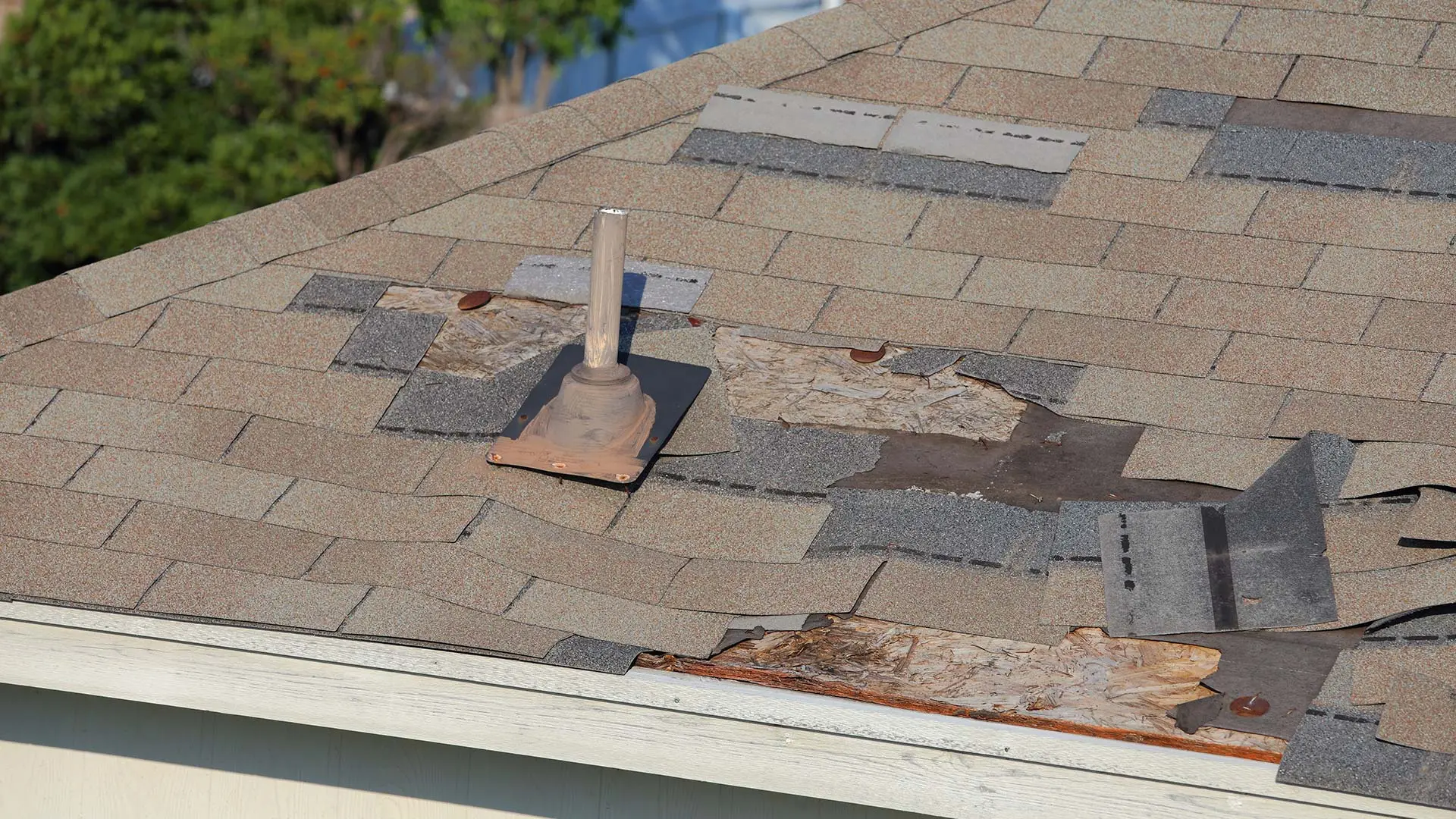 What Are Some Indicators of a Roof Leak?