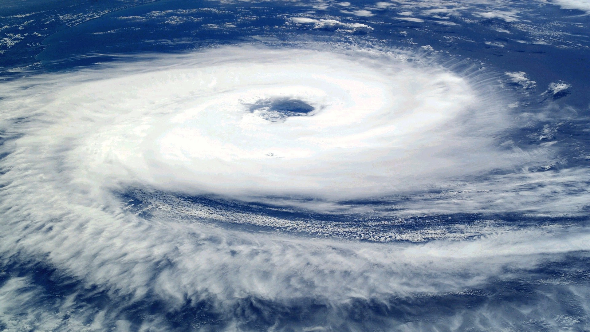 Disaster Strikes! Preparing for a Hurricane in Florida