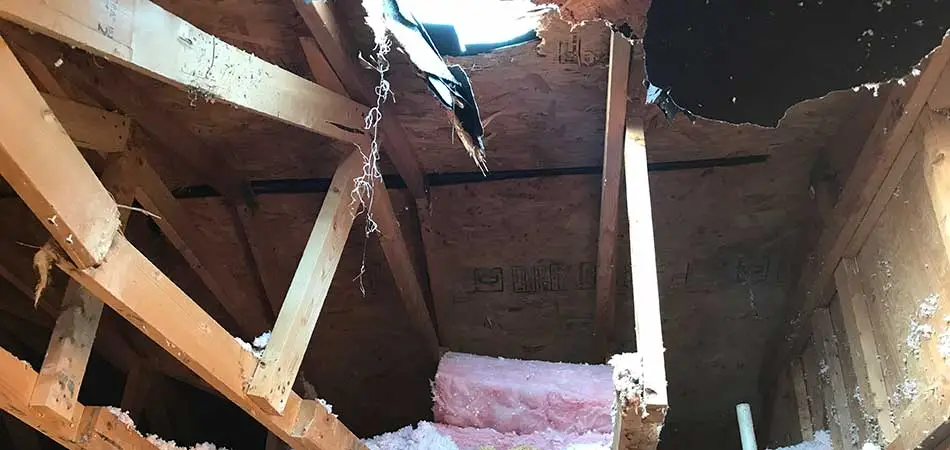 This homeowner in Plant City has a large hole in their roof from materials that have seriously declined.