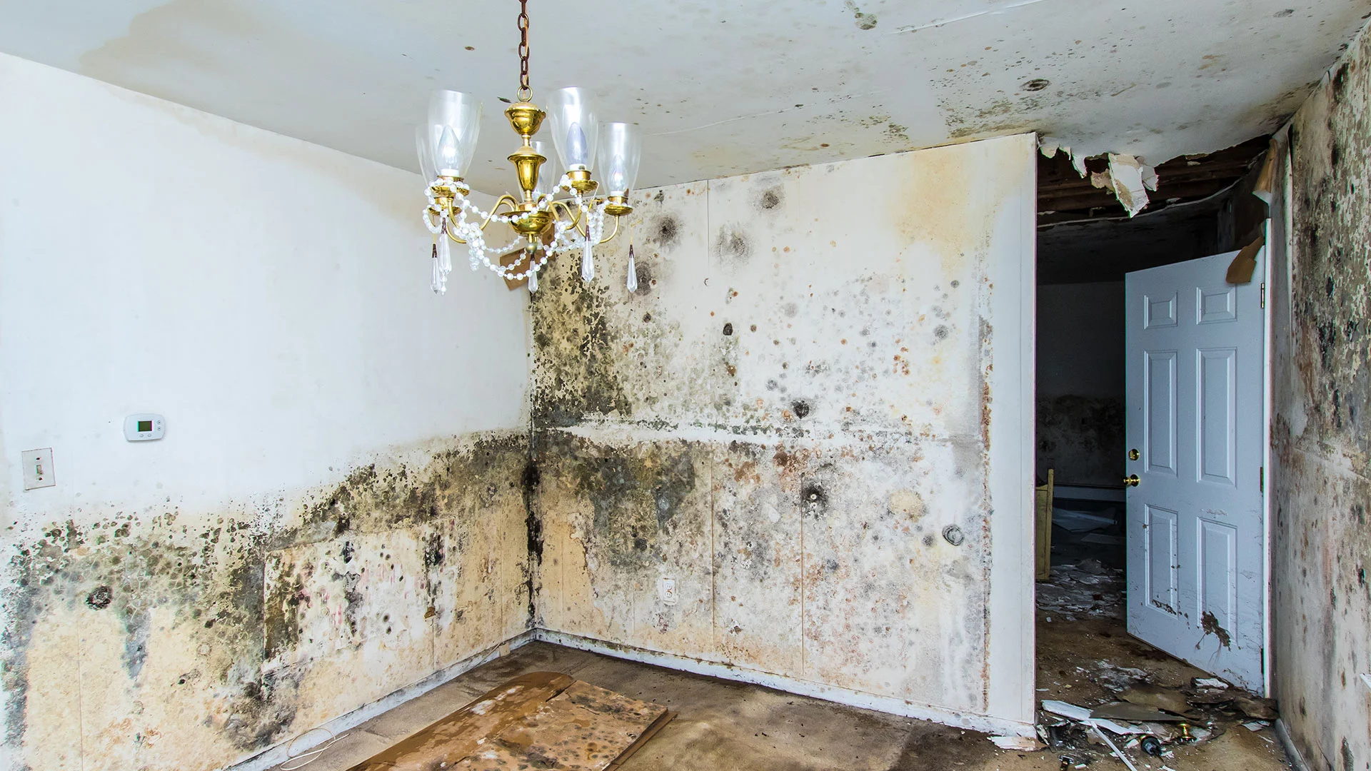 3 Signs You Are Choosing the Right Restoration Company