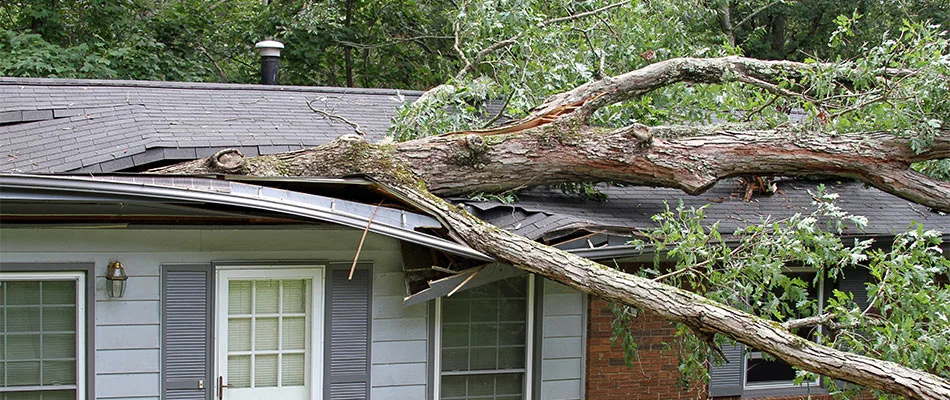 A house in Central Florida that has suffered storm damage from a tree falling into the roof.