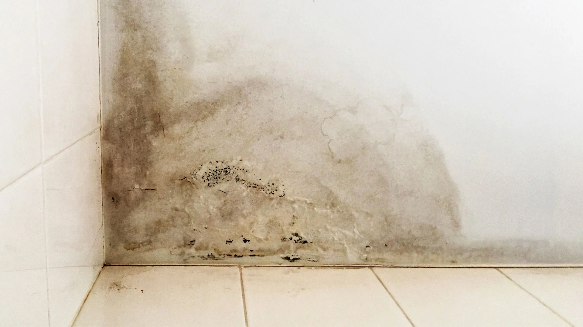 Signs the Property You're Interested in Has Water Damage