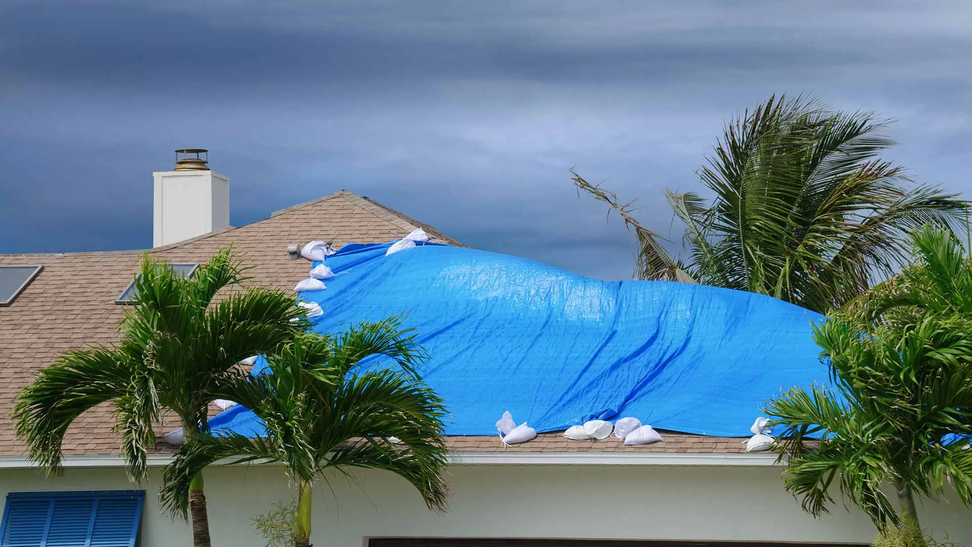 You'll Need More Than An Umbrella To Keep Dry In Florida's Rainy Season