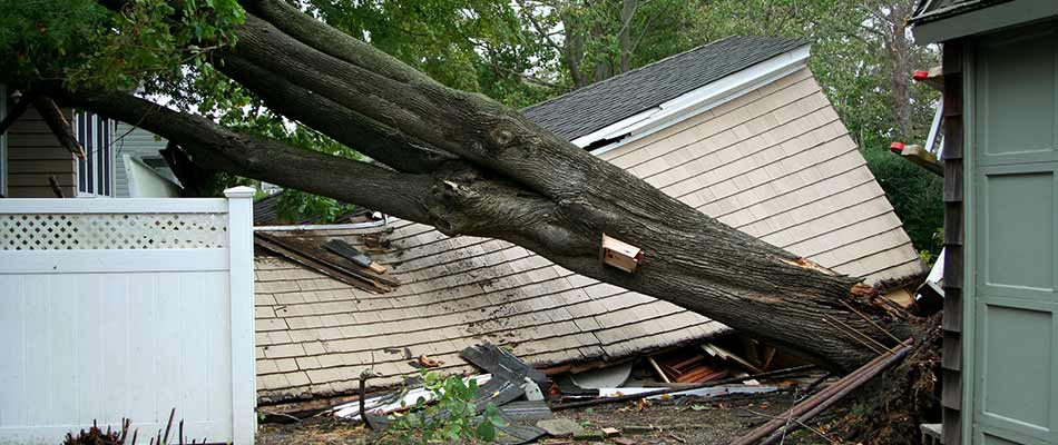 Fallen tree damage to a home in Lakeland, FL.