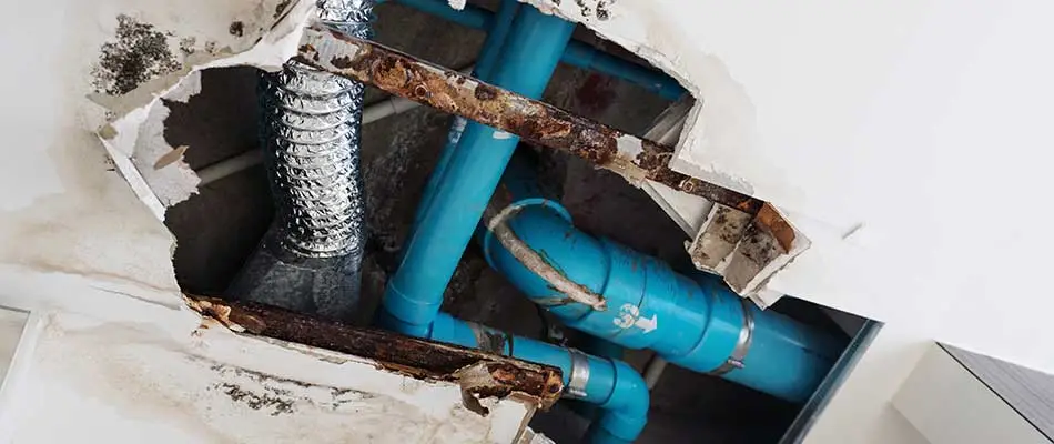 Plumbing pipes requiring repairs in a Lakeland, FL home.
