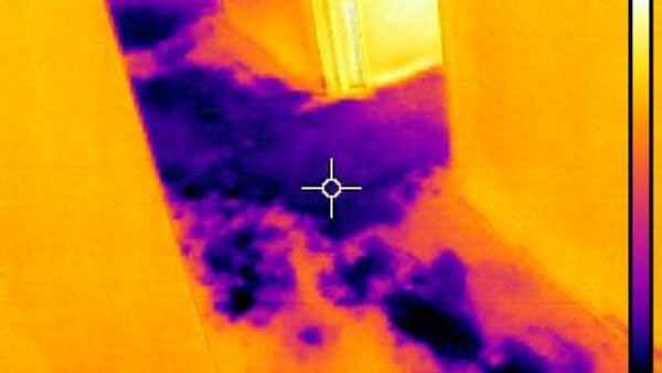 Non-invasive leak detection at home in Plant City, FL.