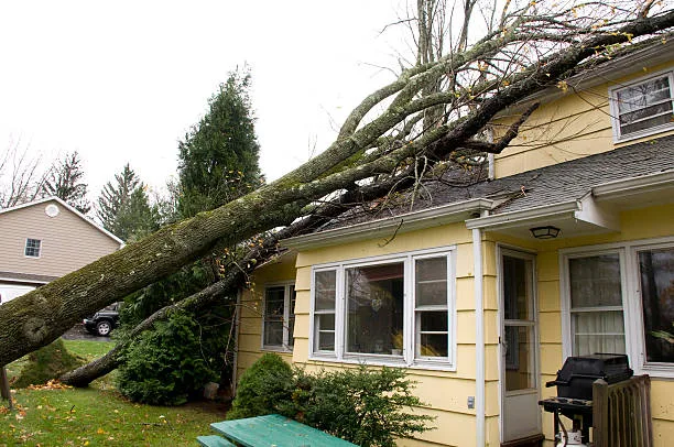 Storm Damage Repair by True Builders in Central Florida