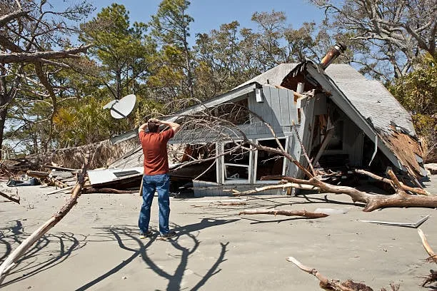 Fallen Tree Damage Repair by True Builders in Central Florida